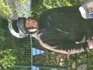 Immer diese Streetfighter ! Immer diese Streetfighter !